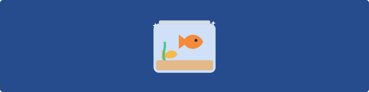 Gifts For Aquarium Lovers