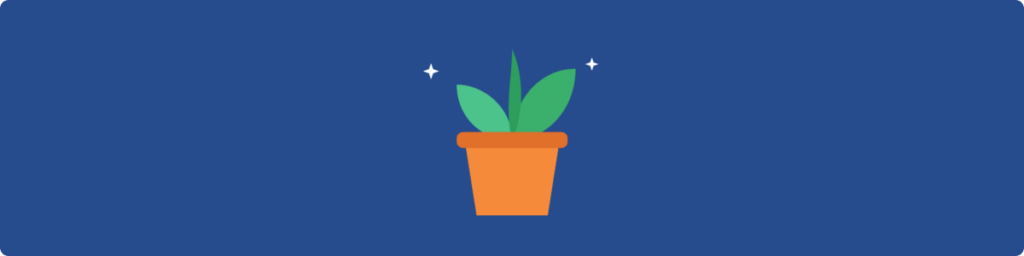 Gifts For Plant Lovers