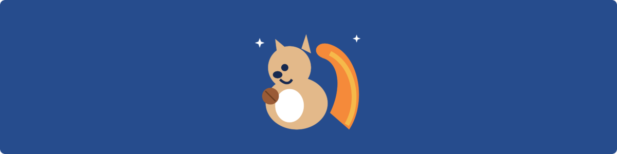 Gifts For Squirrel Lovers