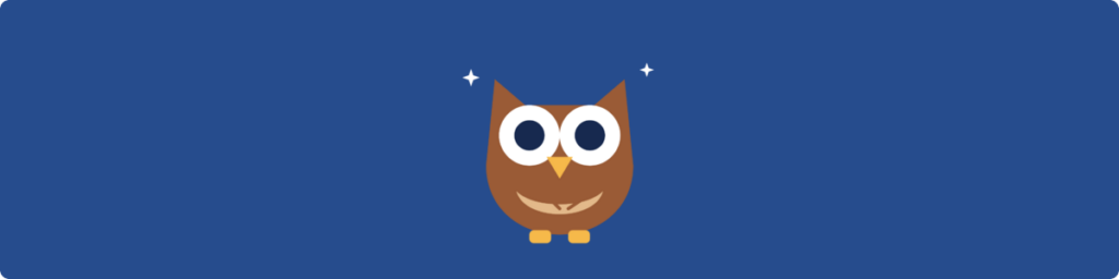 Owl Gifts For Women