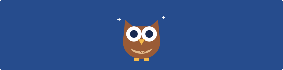 Owl Gifts For Women