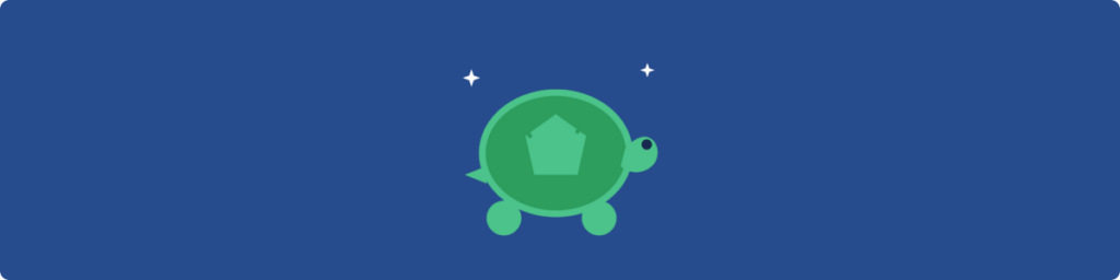 Turtle Gifts For Women